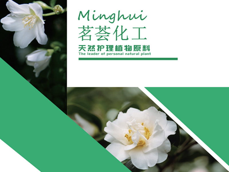 未标題-4 未标題-4