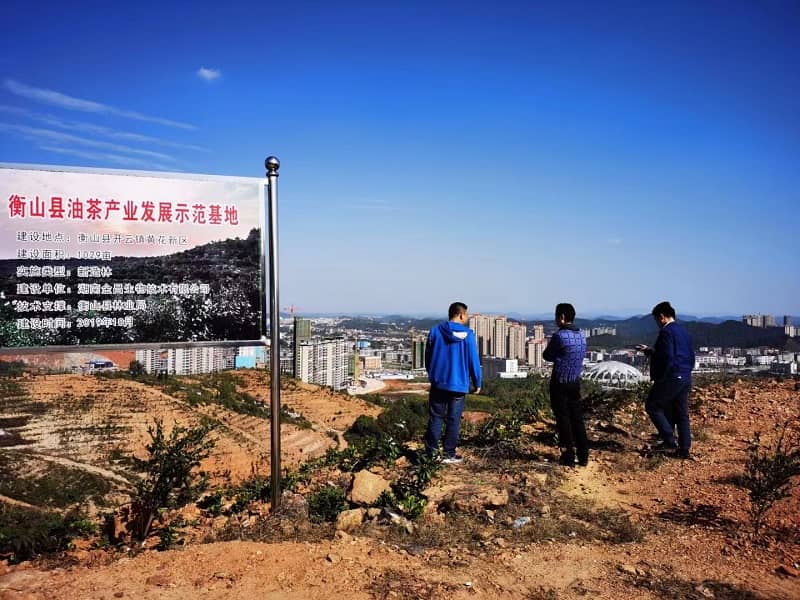 茶油基地(dì)-tuya 茶油基地(dì)-tuya